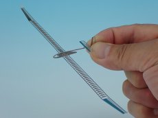 画像2: 上智大学 Flying Turkeys ポインセチア（初回限りの限定生産） (2)