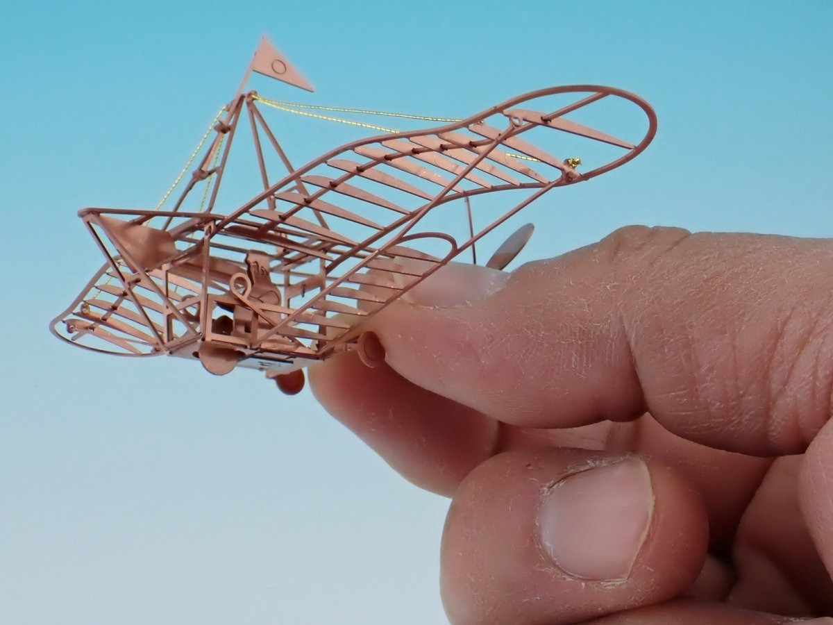 画像2: マイクロ玉虫型飛行器 (2)