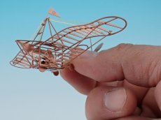 画像2: マイクロ玉虫型飛行器 (2)